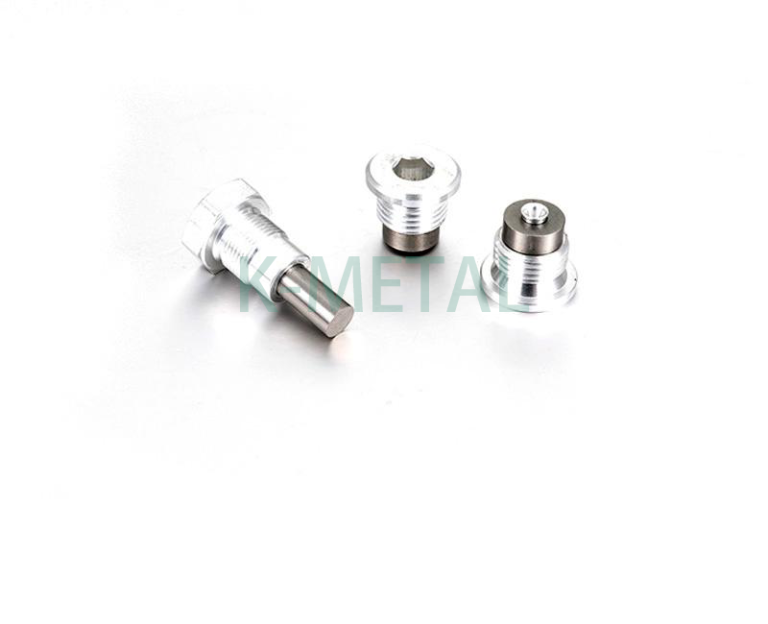 Customized hydraulic plug